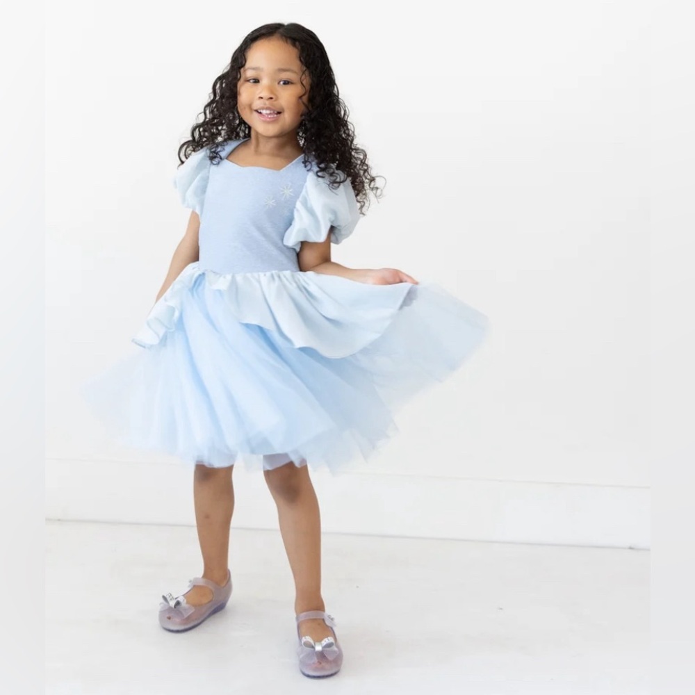 Taylor Joelle | Disney Cinderella Dress